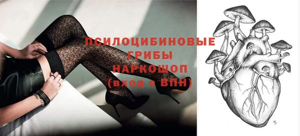 не бодяженный Алексин